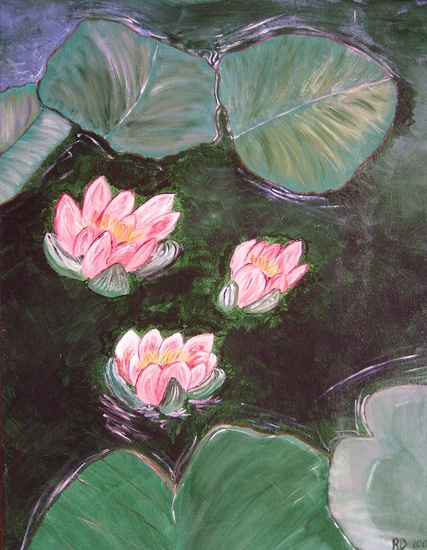 Lelie's op het water in Frankrijk.