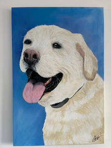 Net als mensen hebben dieren ook een moment 