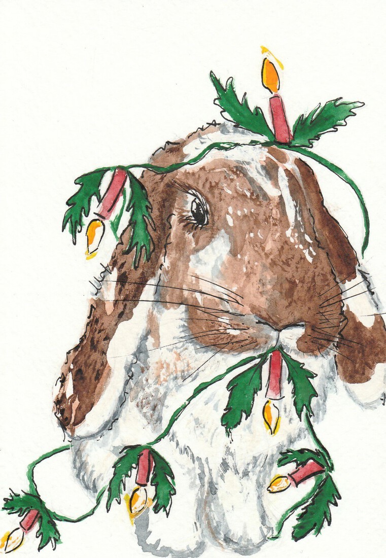 George with Christmas lights