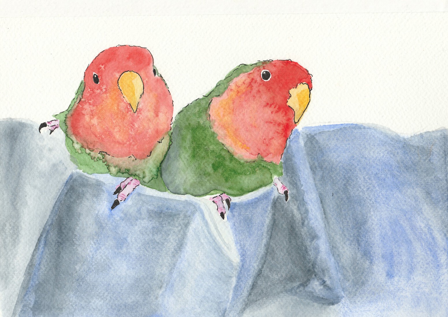 Peppie en Kokkie in het gordijn