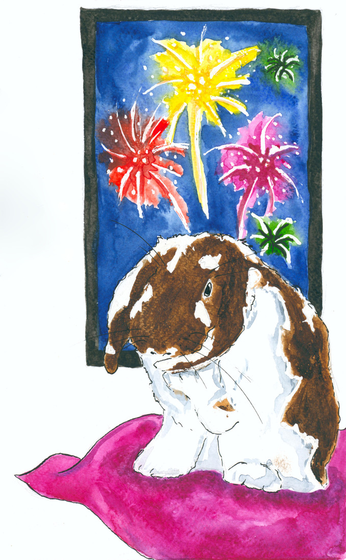 George kijkt vuurwerk