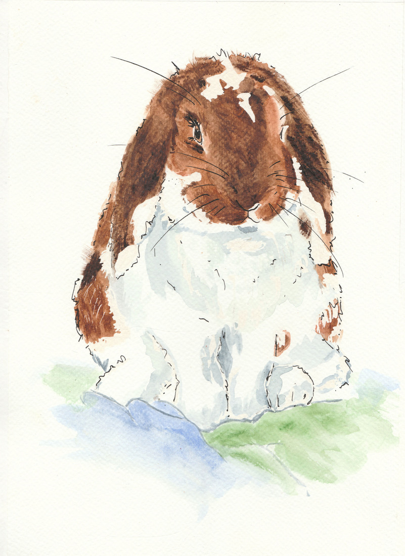 George op zijn lievelingsdeken