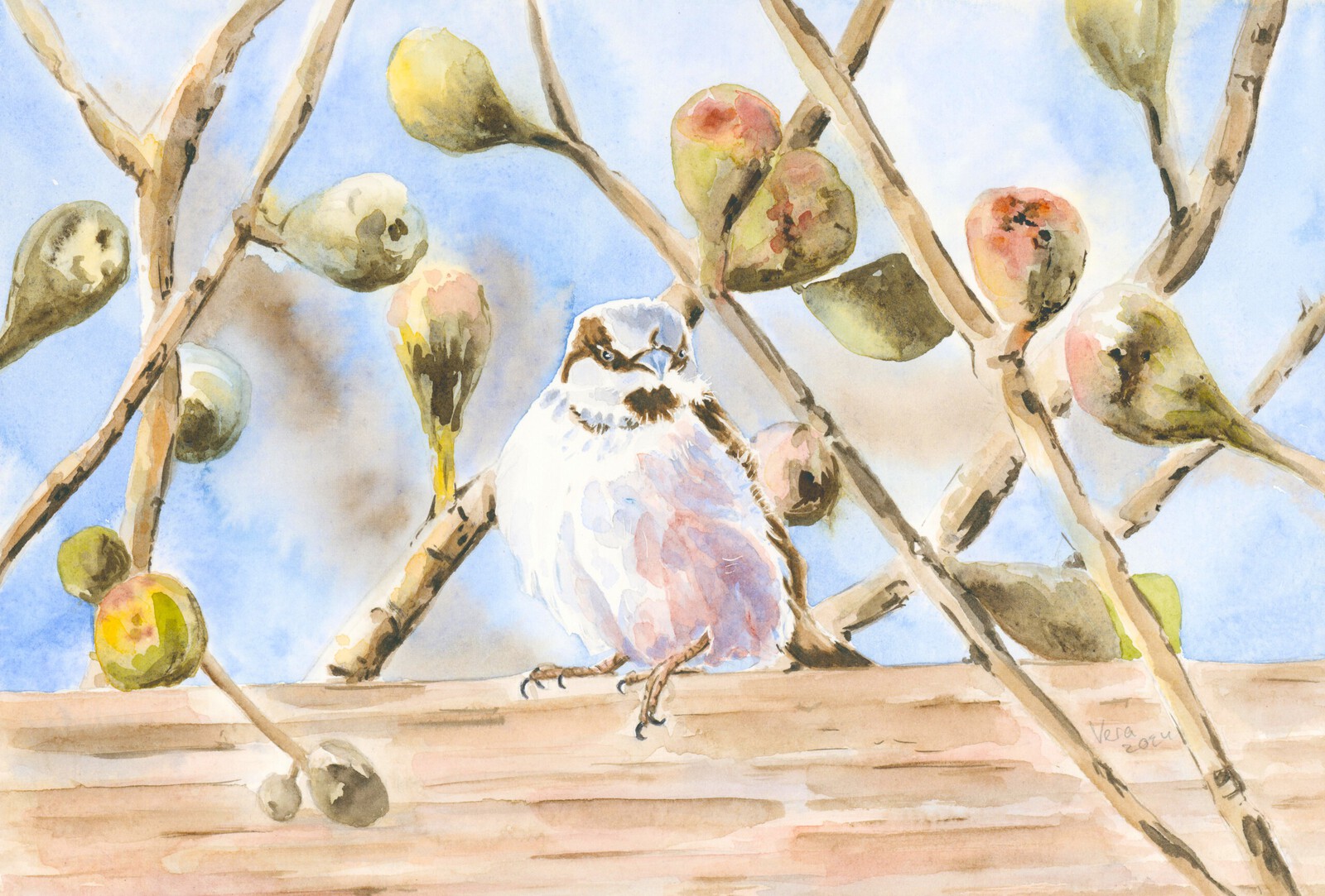 Sparrow in the garden