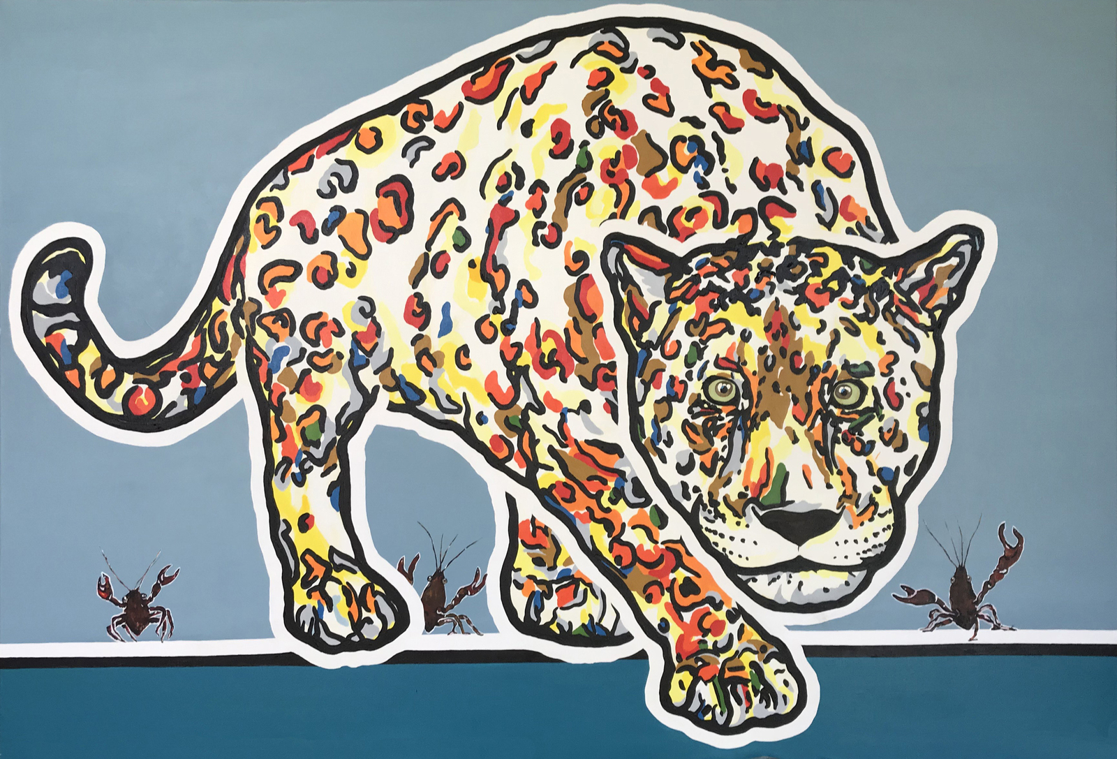 I hung like a jaguarundi