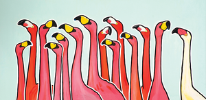 Caribische wezens, boven en onder de zeespiegel