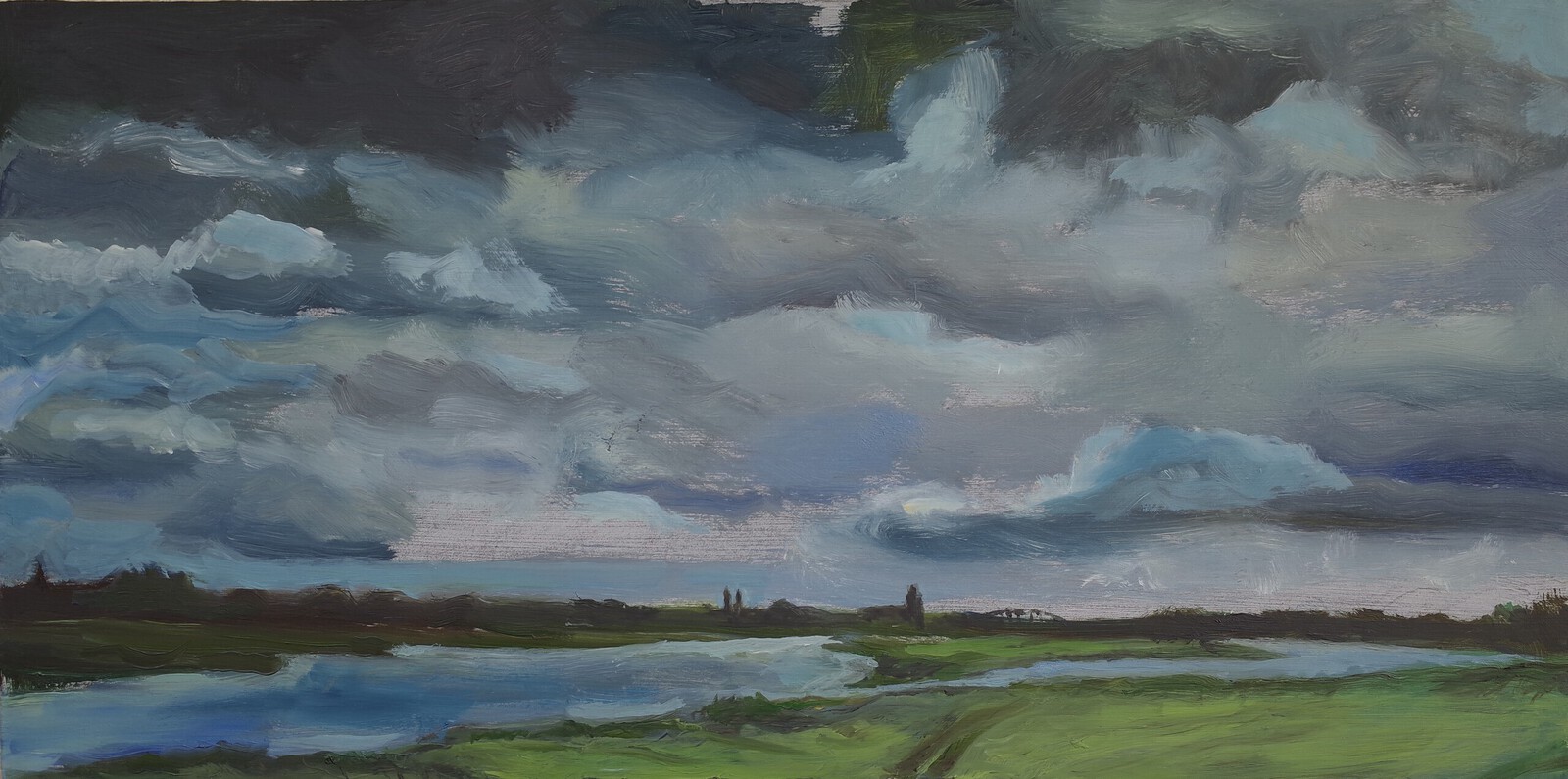 View on IJssel river and Deventer