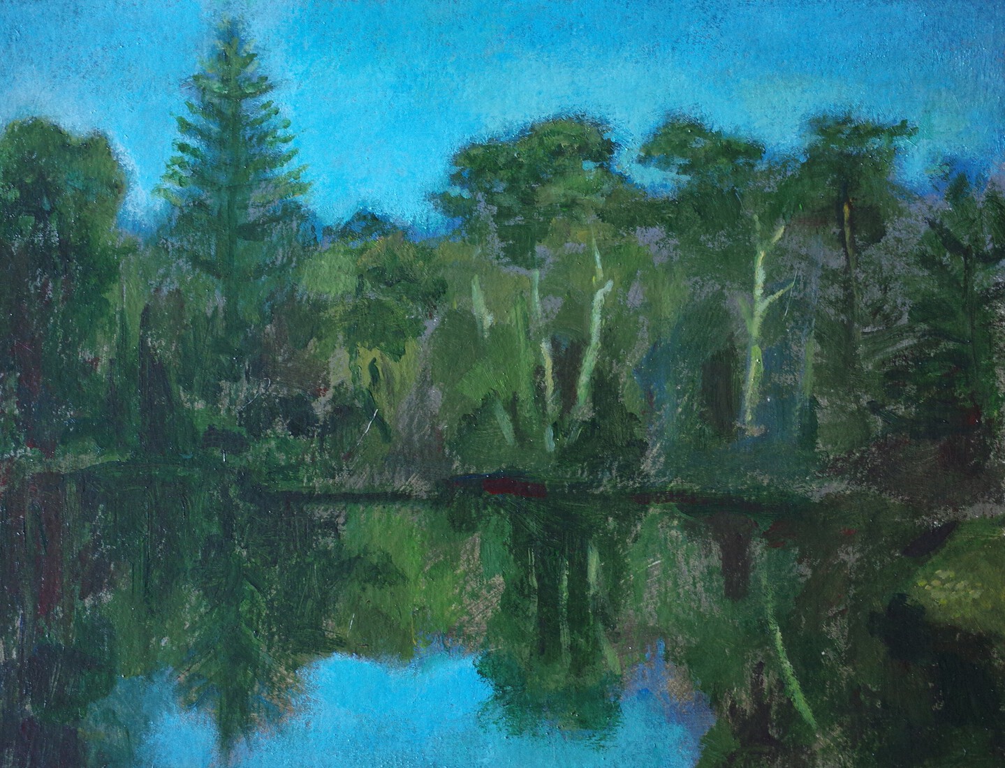 Forest lake late afternoon wintertime 