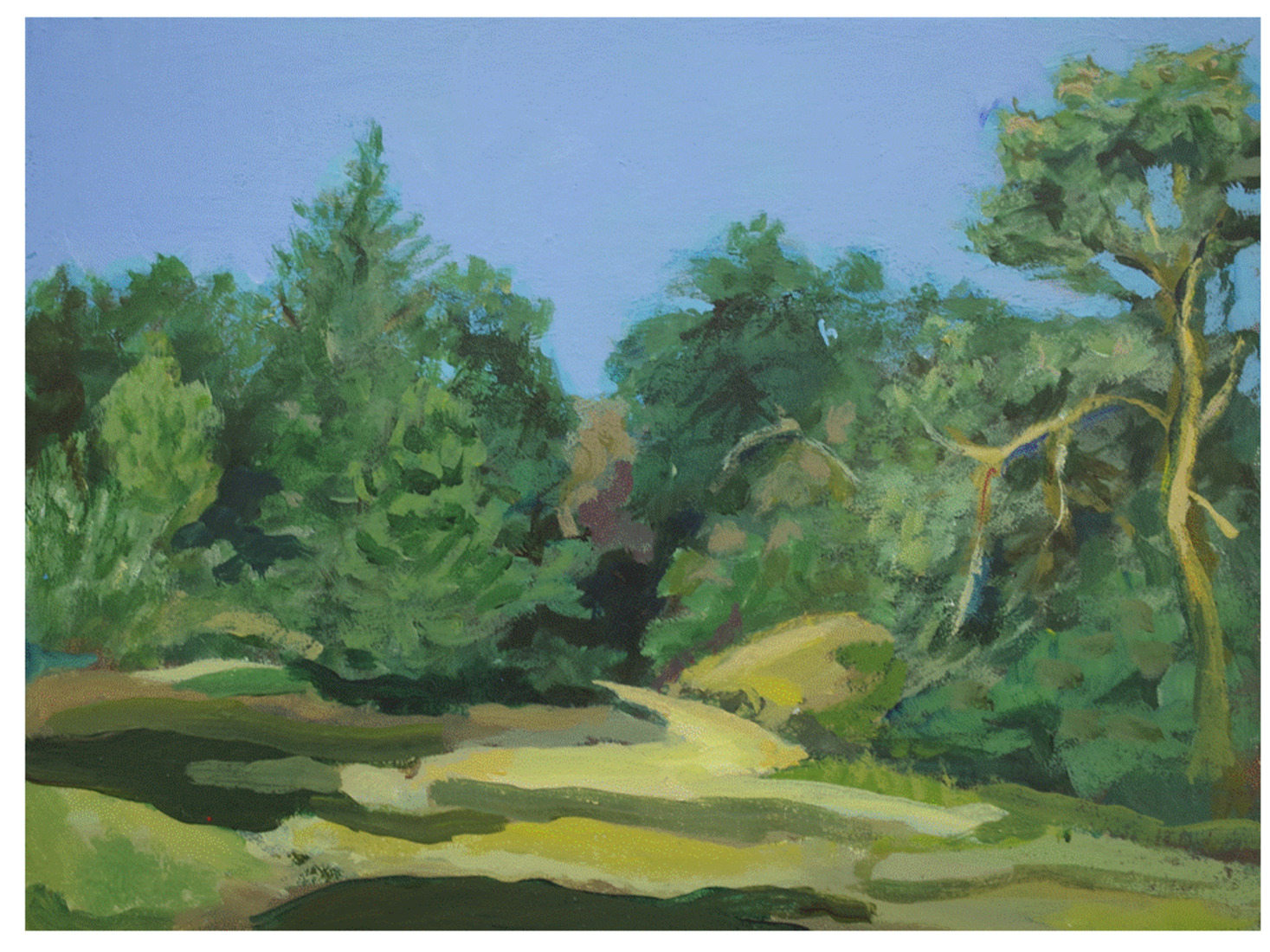 Sunset sand dune Den Dolder