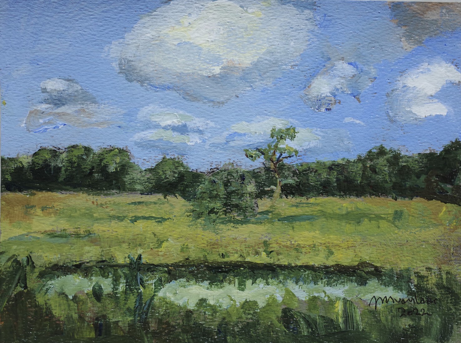 Nature reserve De Tweelingen