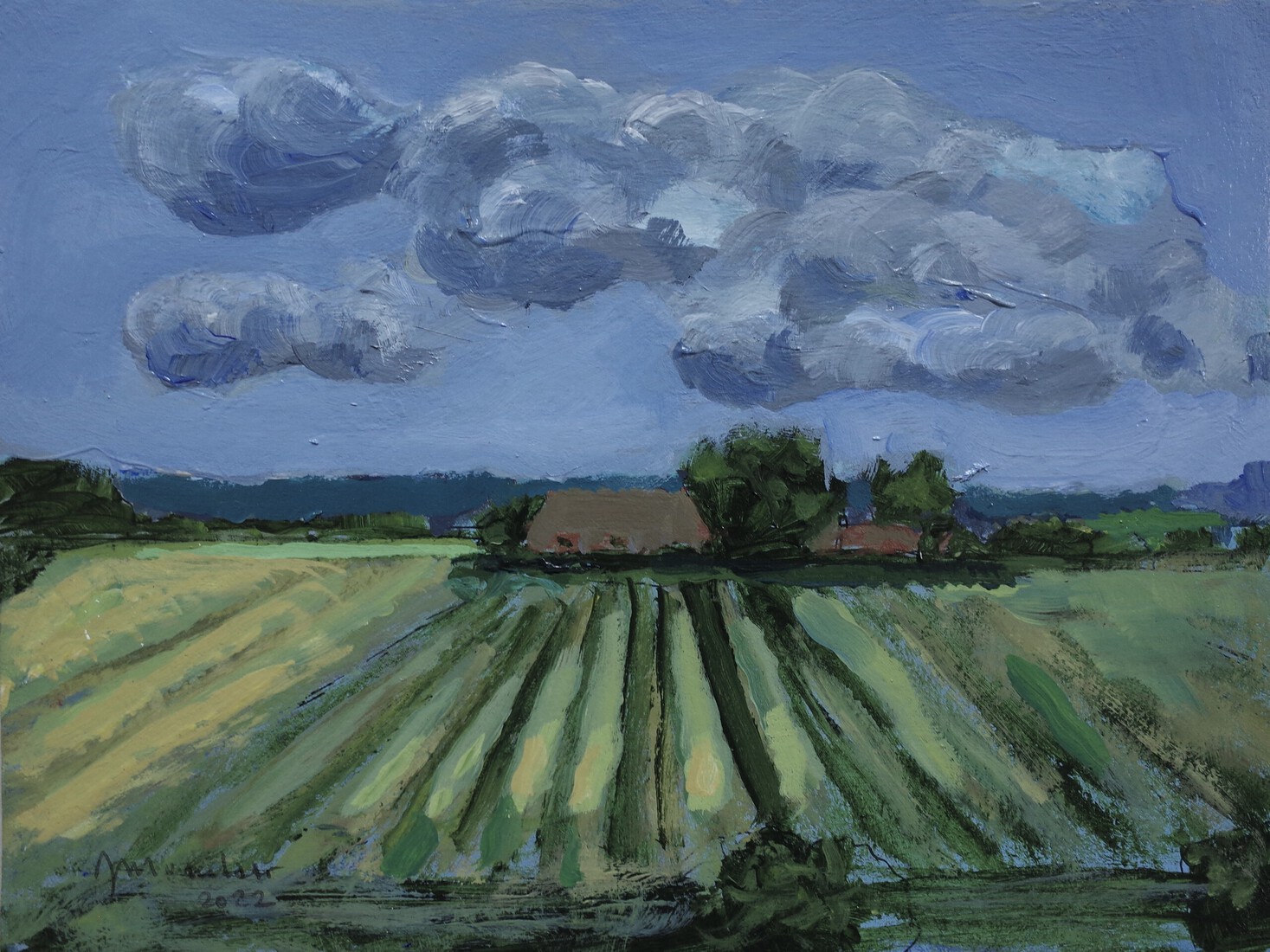 Hoofdplaat Zeeuws Vlaanderen