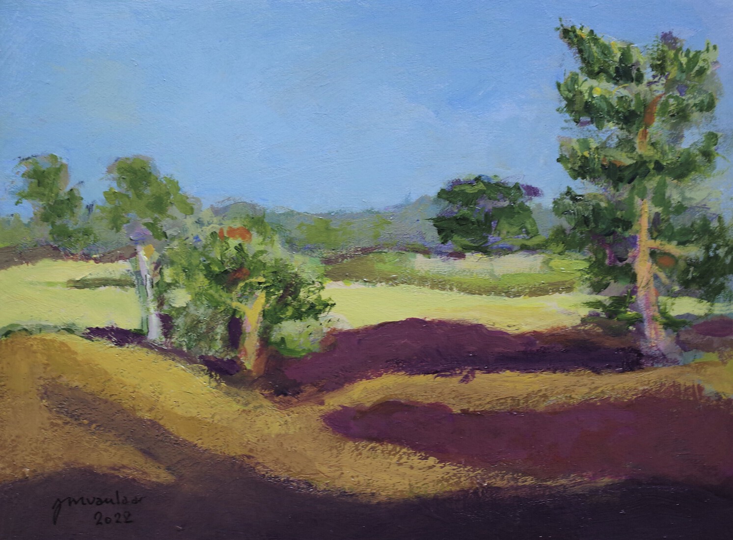 Sunset sand dunes Soestduinen