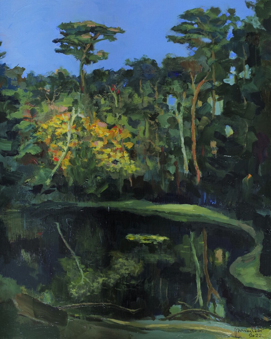 Forest lake Autumn 2022