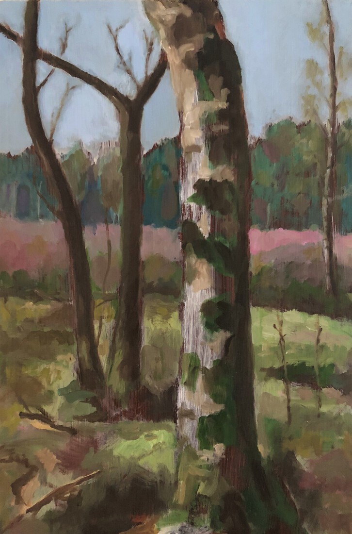 Heideveld Ridderoordse bos 