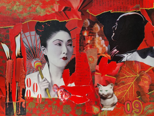 Collages, beelden samengevoegd tot een verhaal.