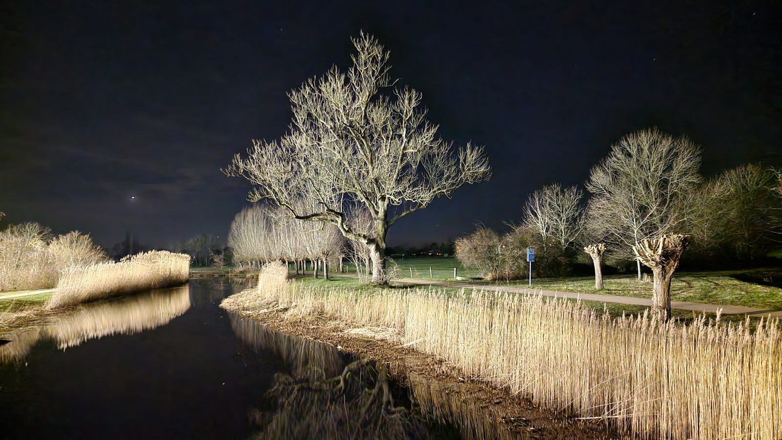 Otterpad by night, Zwolle