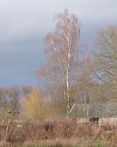 Foto's voornamelijk niet bewerkt,  soms met gedicht