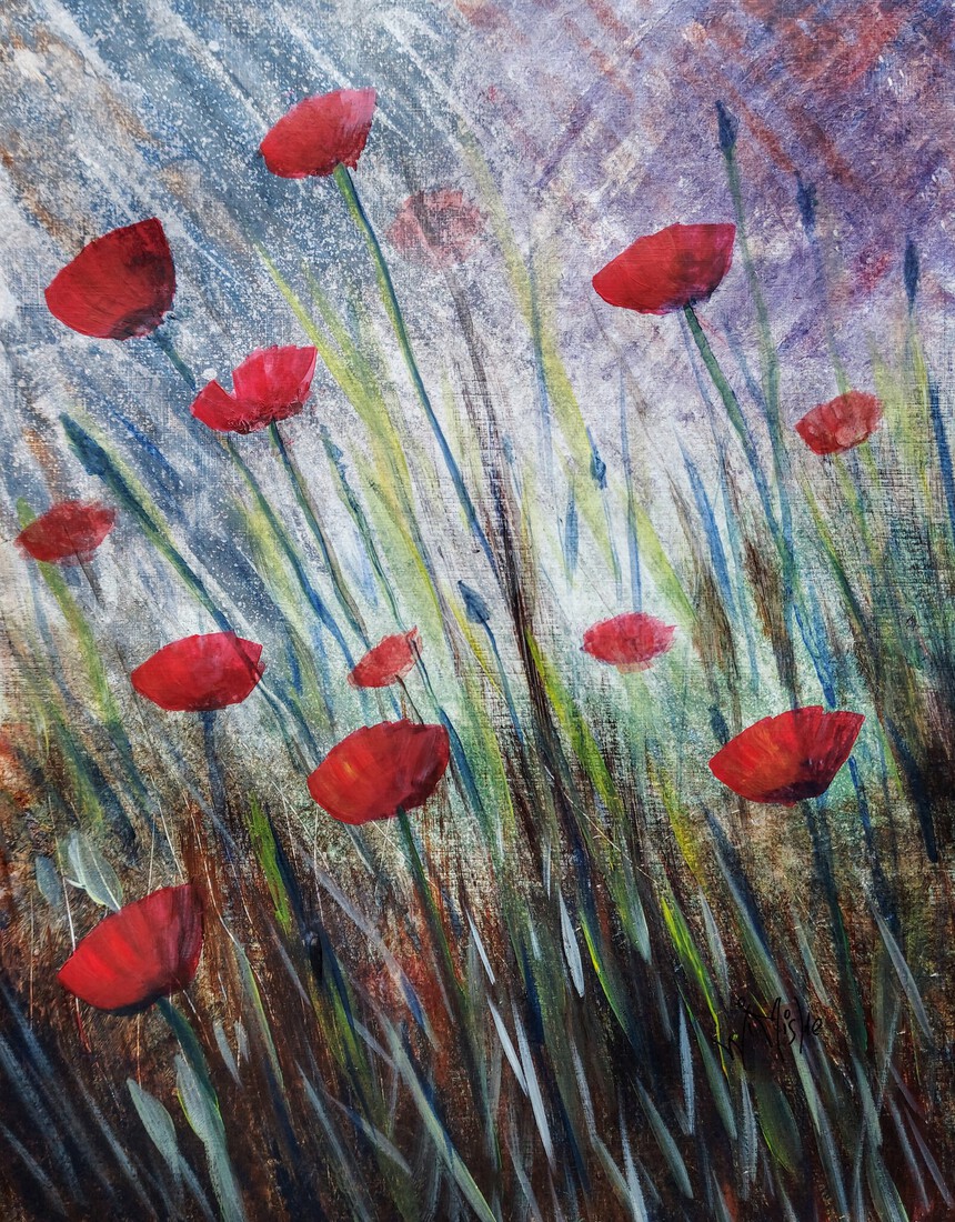 Poppies