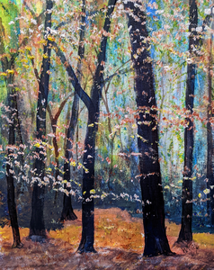 Landschappen op doek en papier