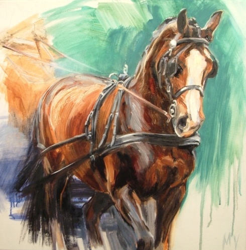 Connemarapony voor de koets