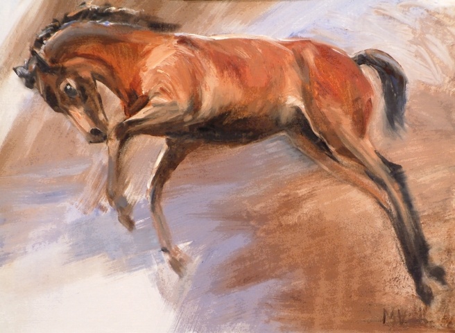 Studie van een veulen I