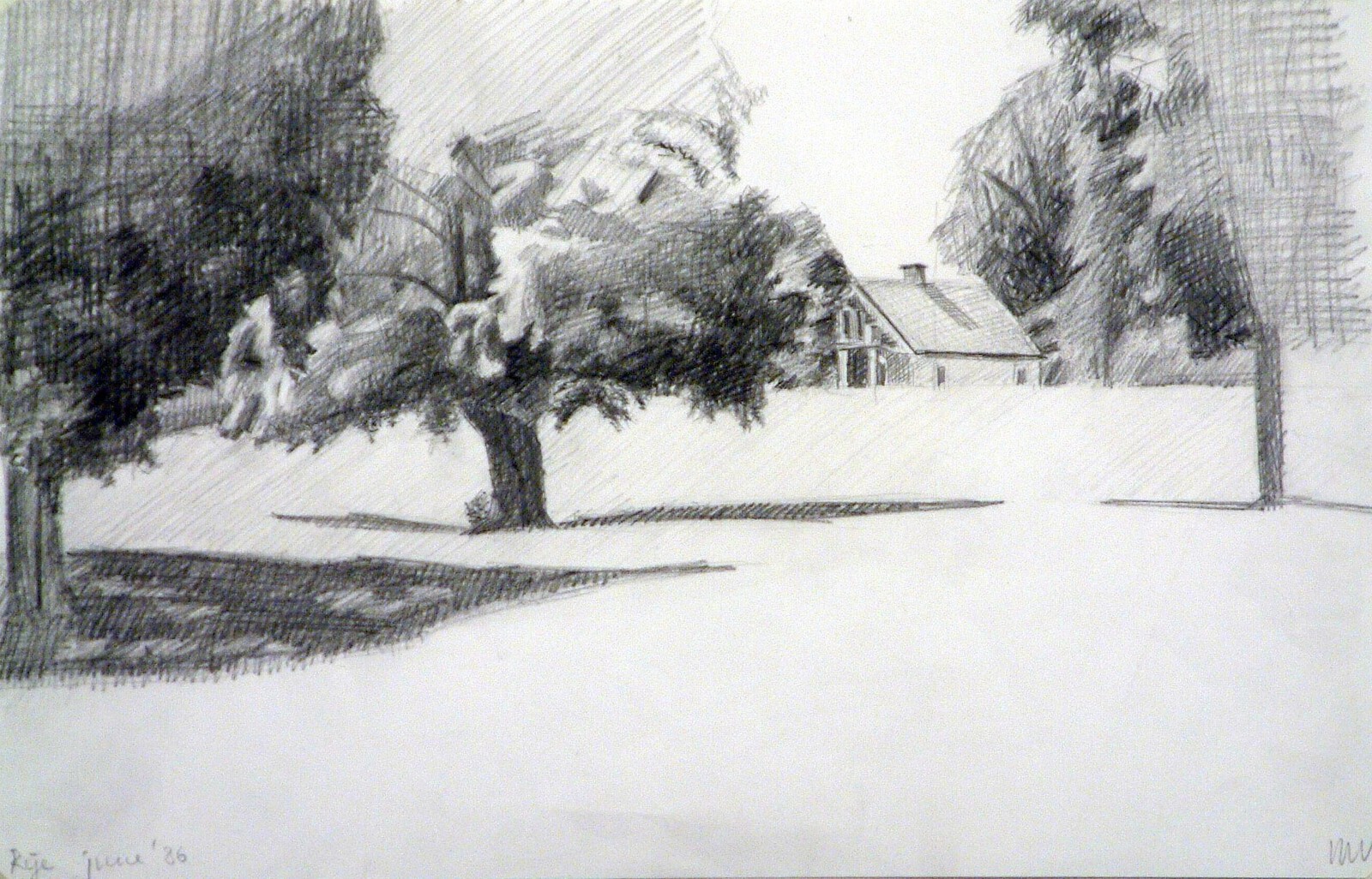 Heuvel in Rije, New York State