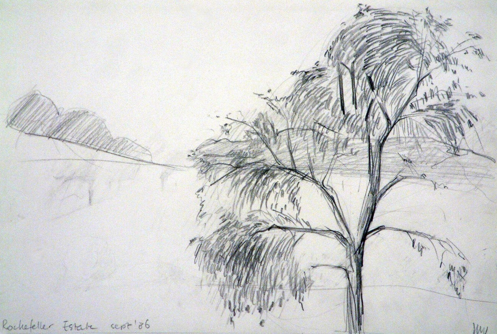 Rockefeller Estate, New York State