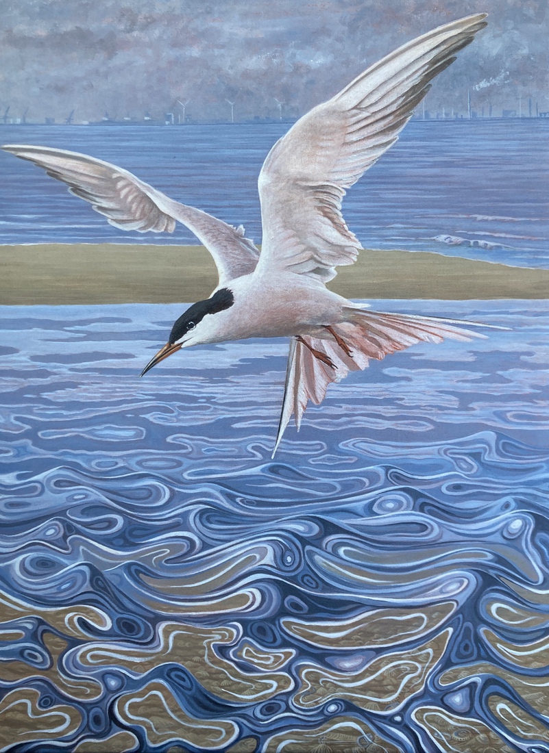 Visdief boven zee bij zandmotor