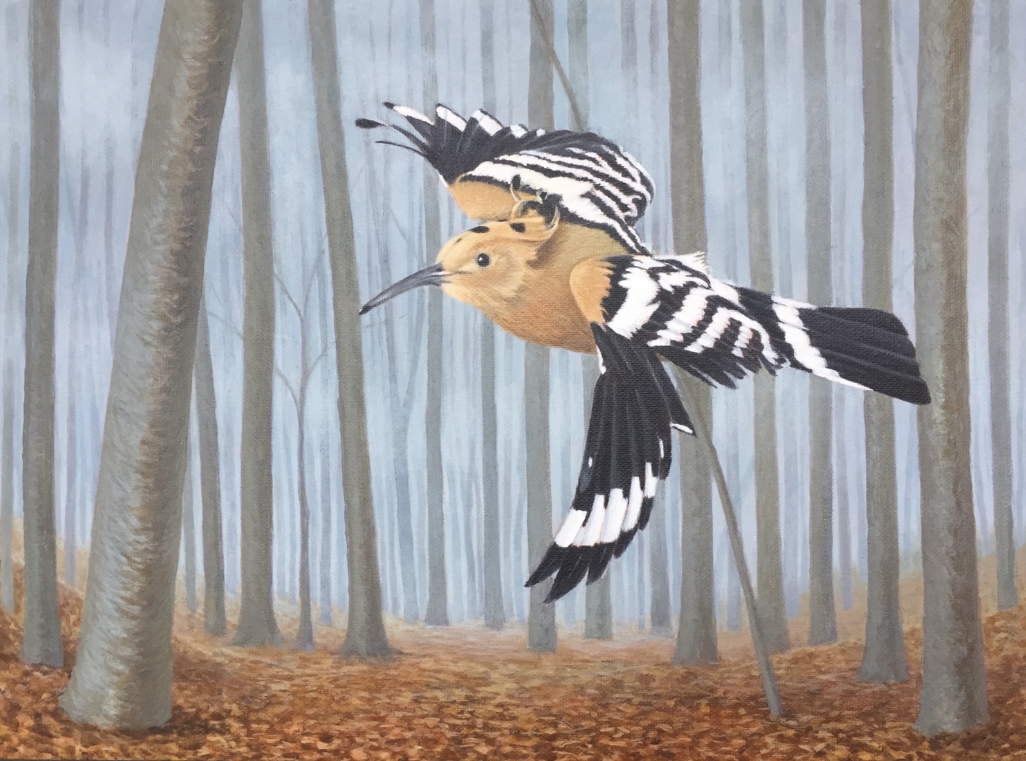 Hop aan de rand van nevelig bos