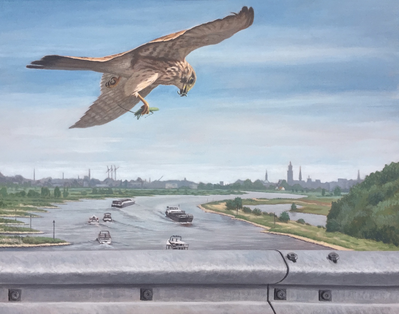 Torenvalk boven de IJssel bij Zutphen