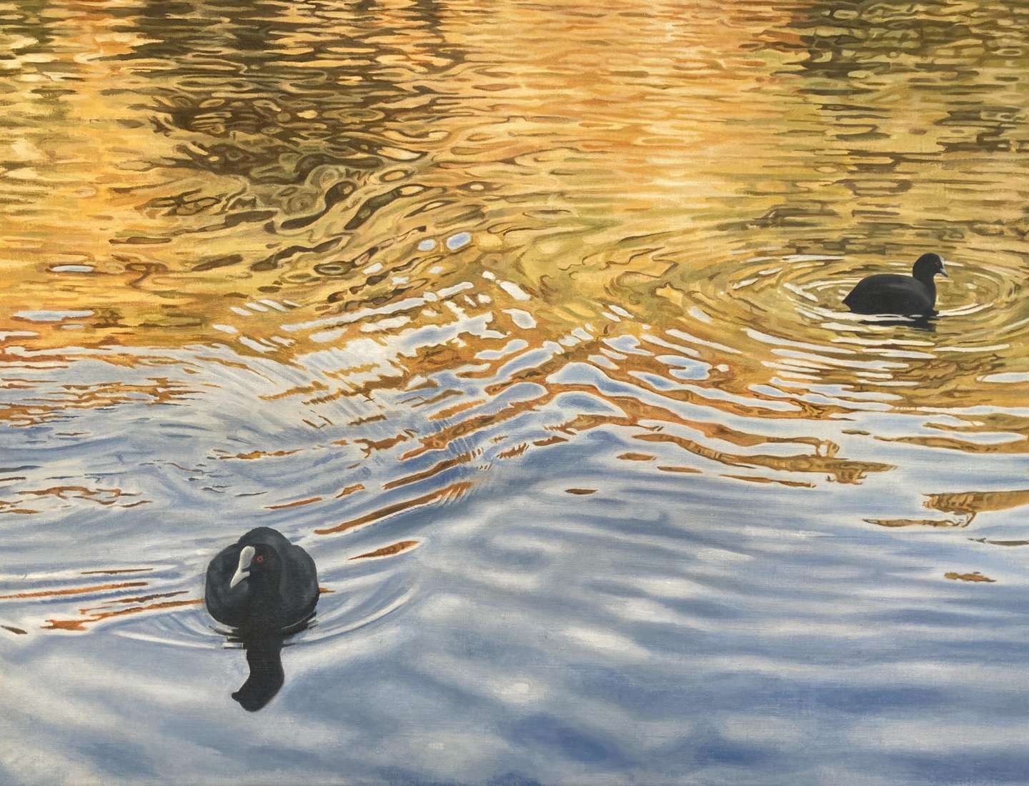 Waterwerk 3, bosven met meerkoeten