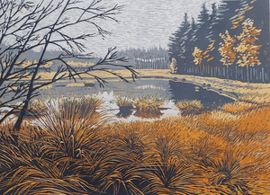 Meerkleurenlino's gemaakt met de reductietechniek, afgedrukt in kleine oplages