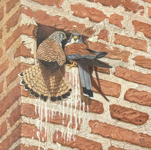 schilderijen met een habitat  waarin een vogel leeft