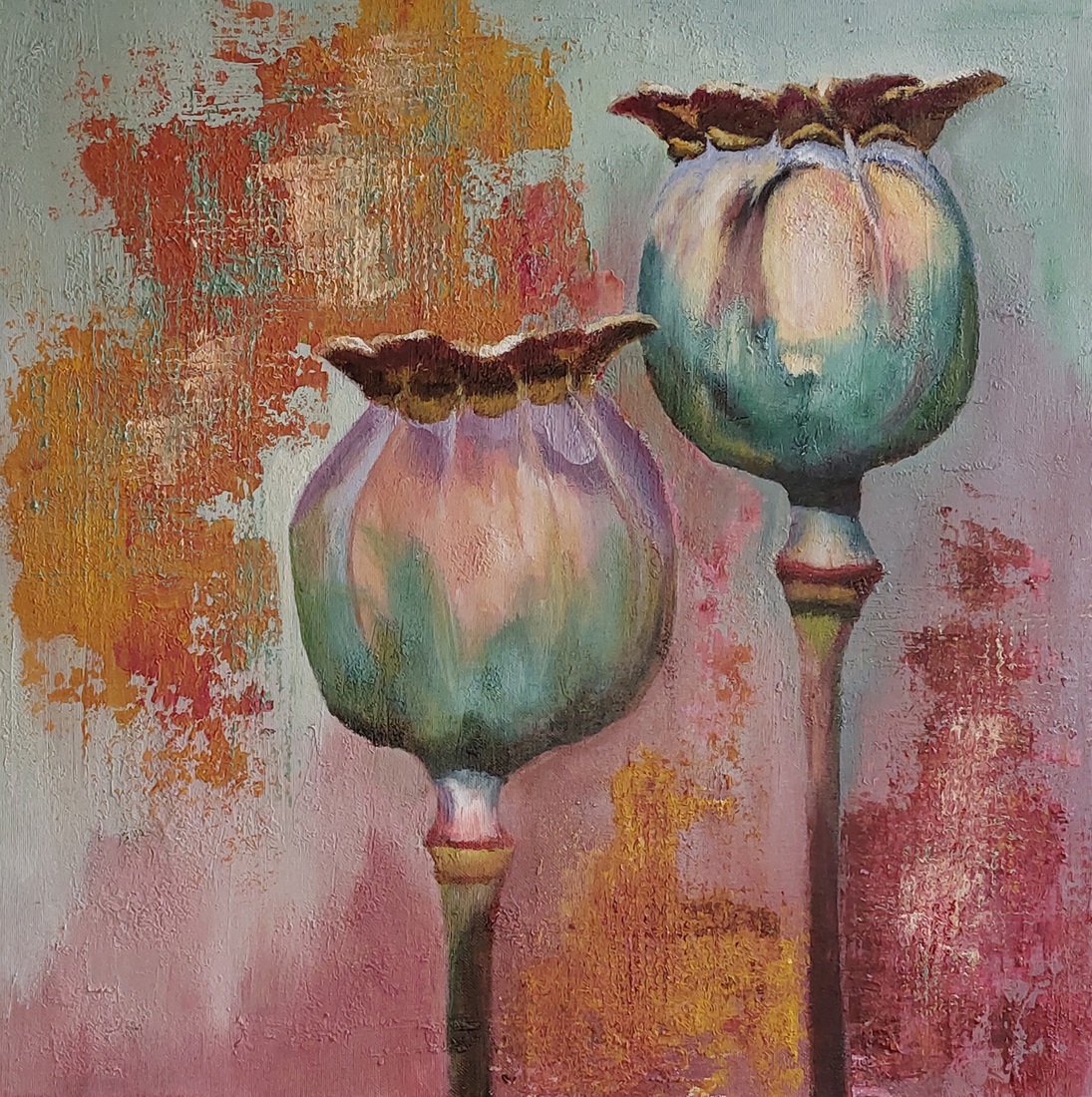 Zaadbollen van de papaver 2