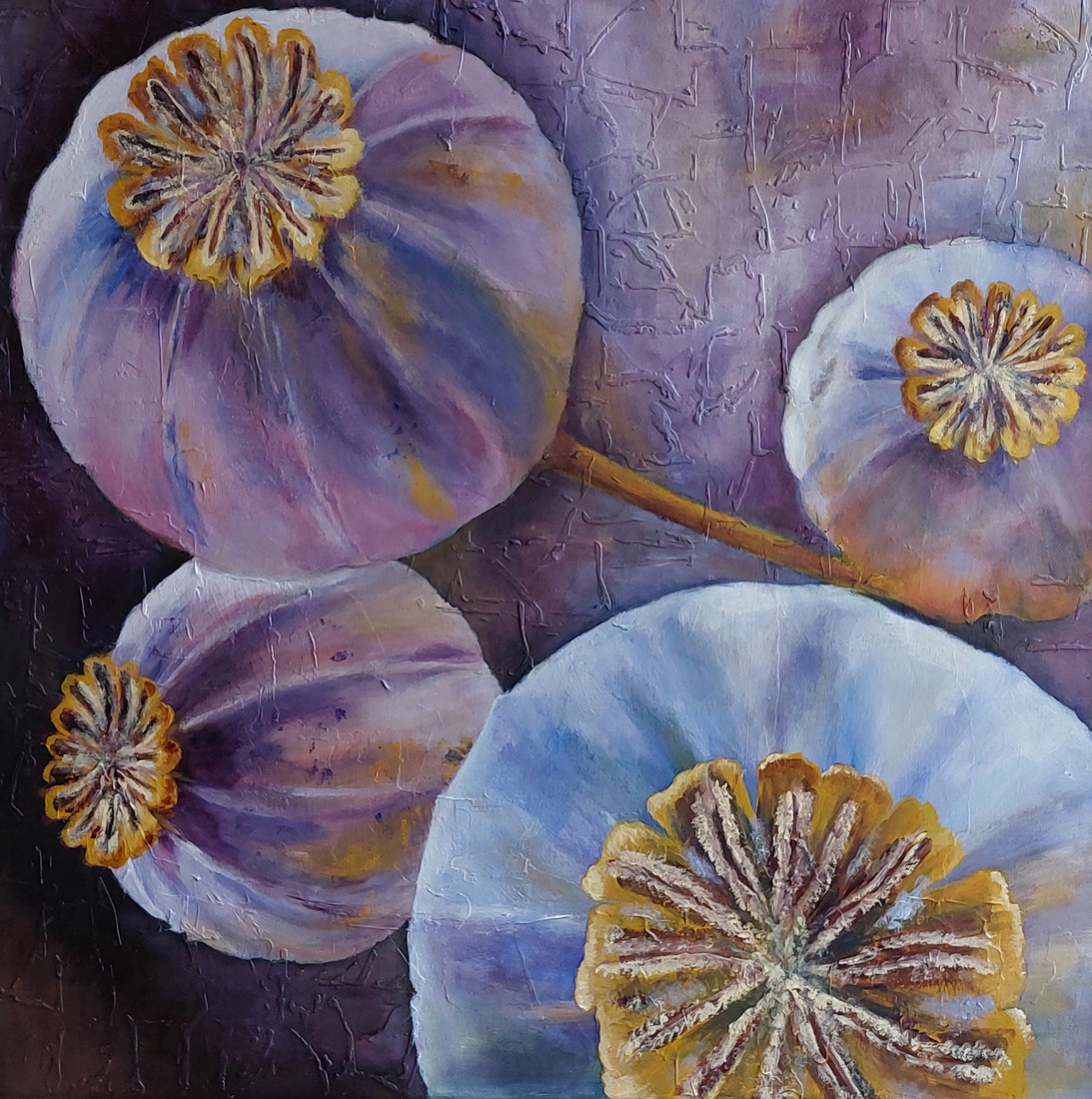 Zaadbollen van de papaver