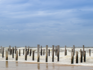 Palendorp bij Petten