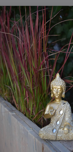 Het oog is belangrijker....
als woorden onduidelijk worden
