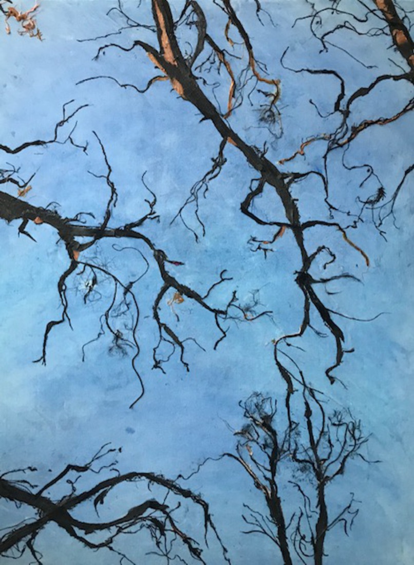 De bomen laten op hun naakte vingers kijken