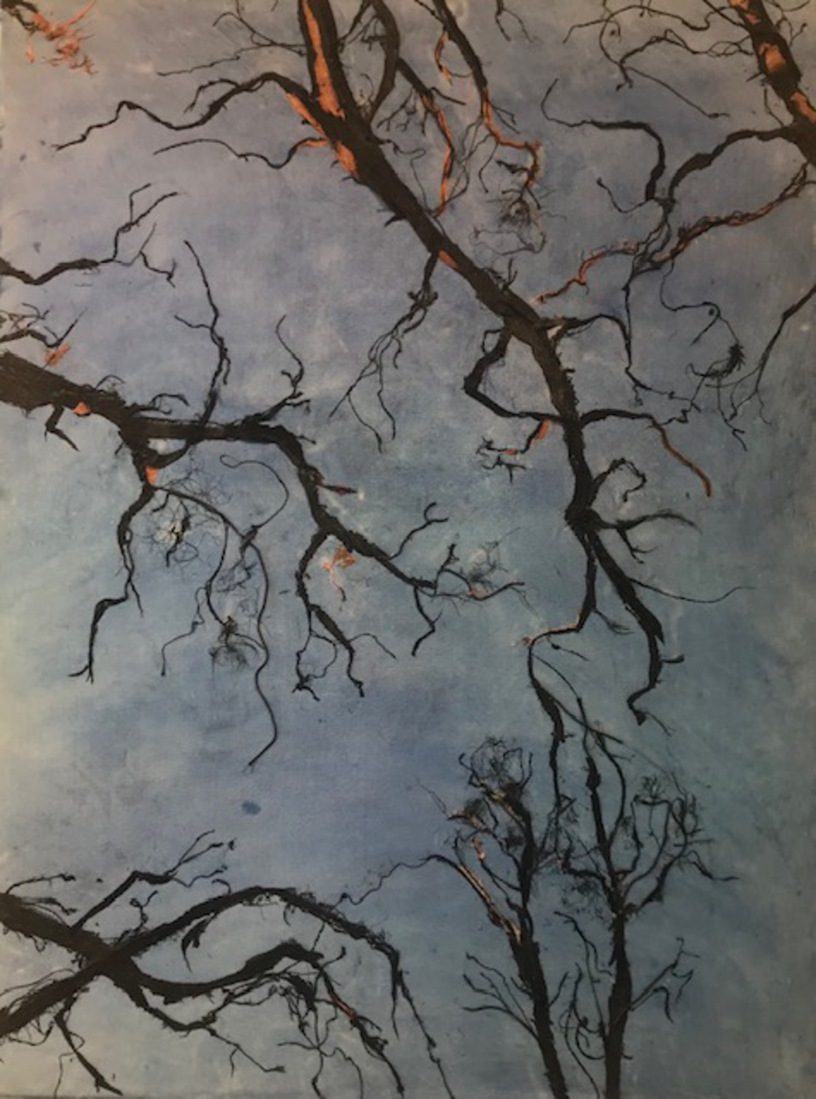 De bomen laten op hun naakte vingers kijken.