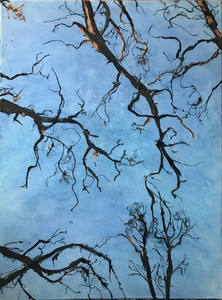 Diverse werken met zijde.