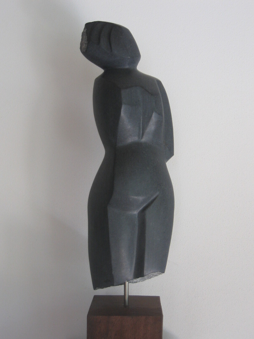 torso 03