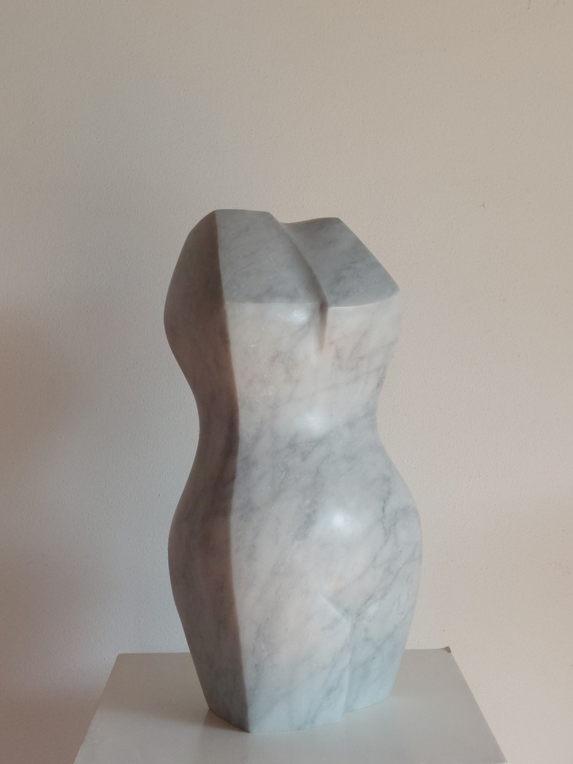 torso 13