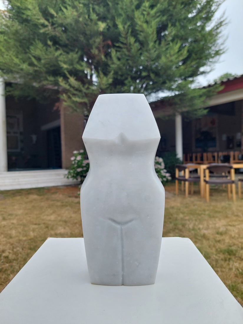 torso 15