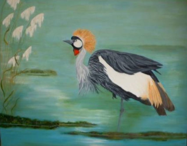 kraanvogel