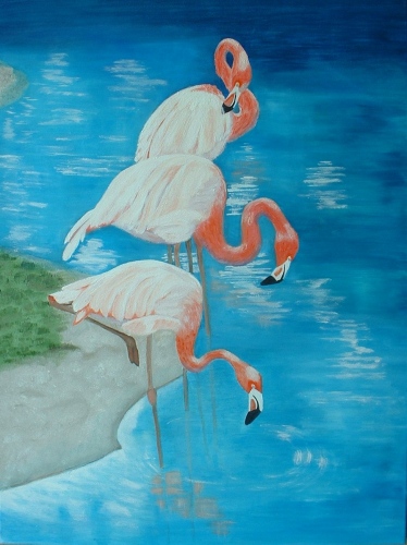 Flamingo