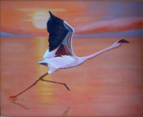 Flamingo