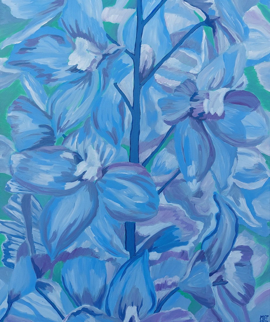 Ridderspoor (Delphinium)