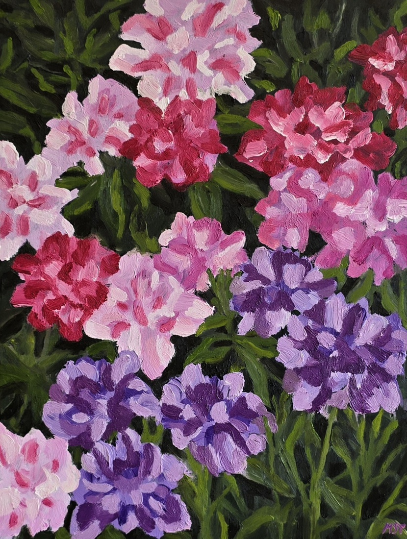 Rododendrons