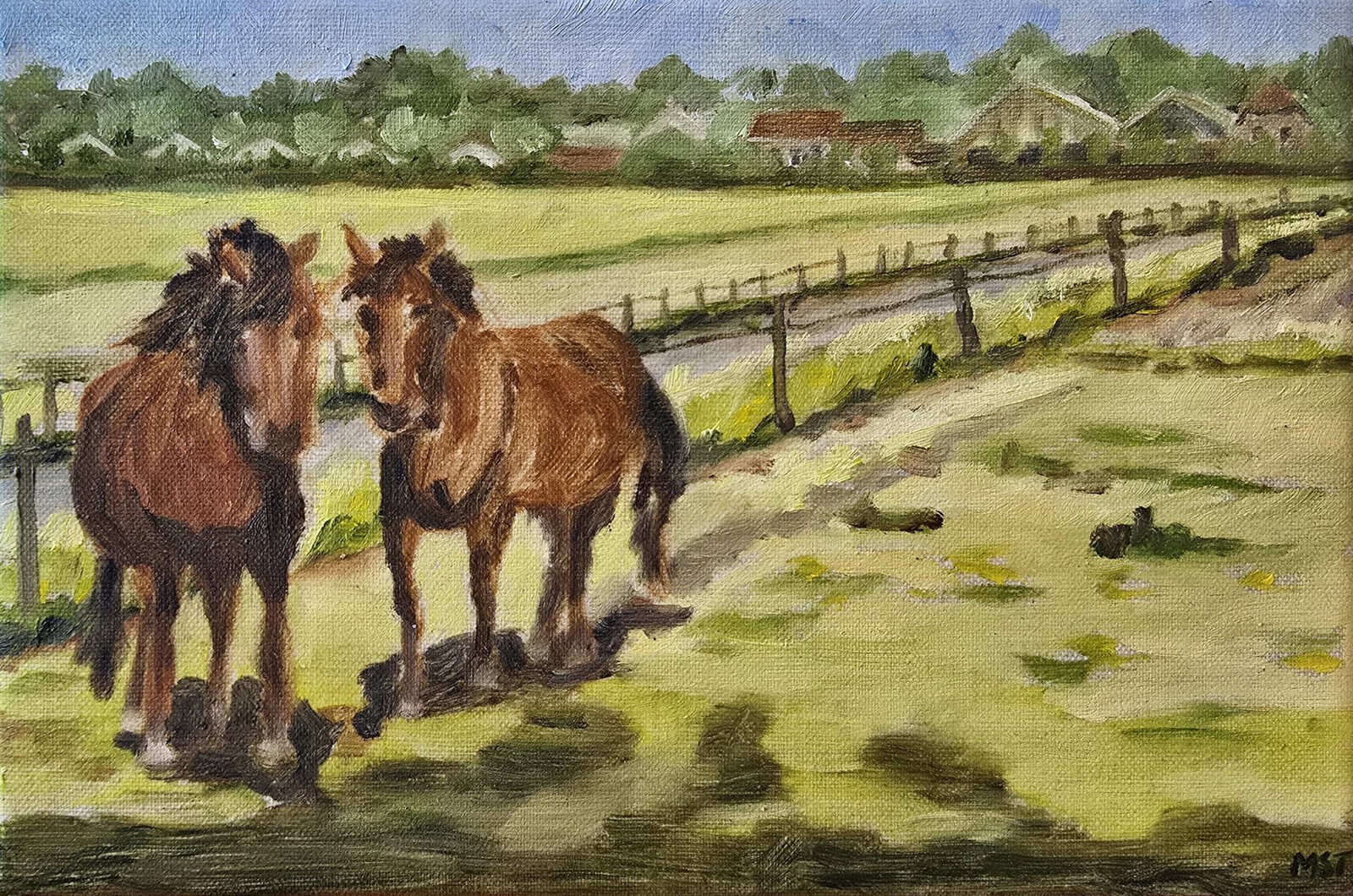 Paardenweitje