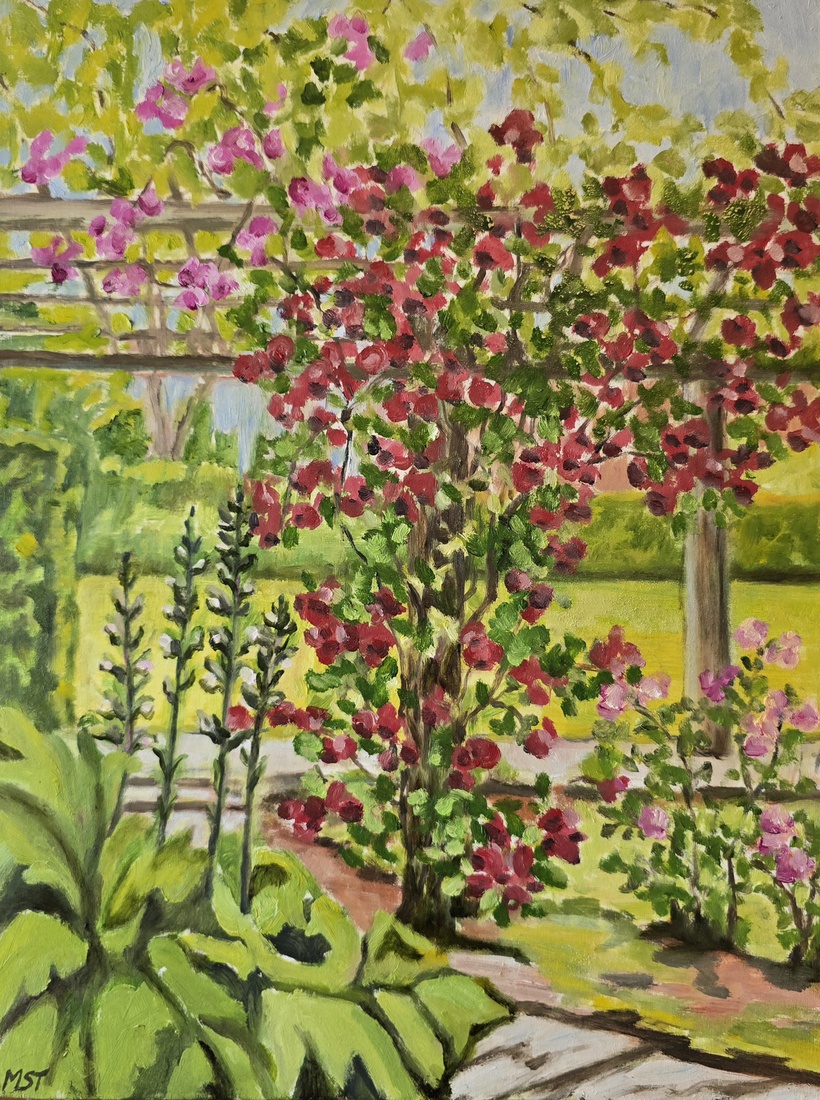 Rozen in tuin Lindenplein 1 Noordwijk