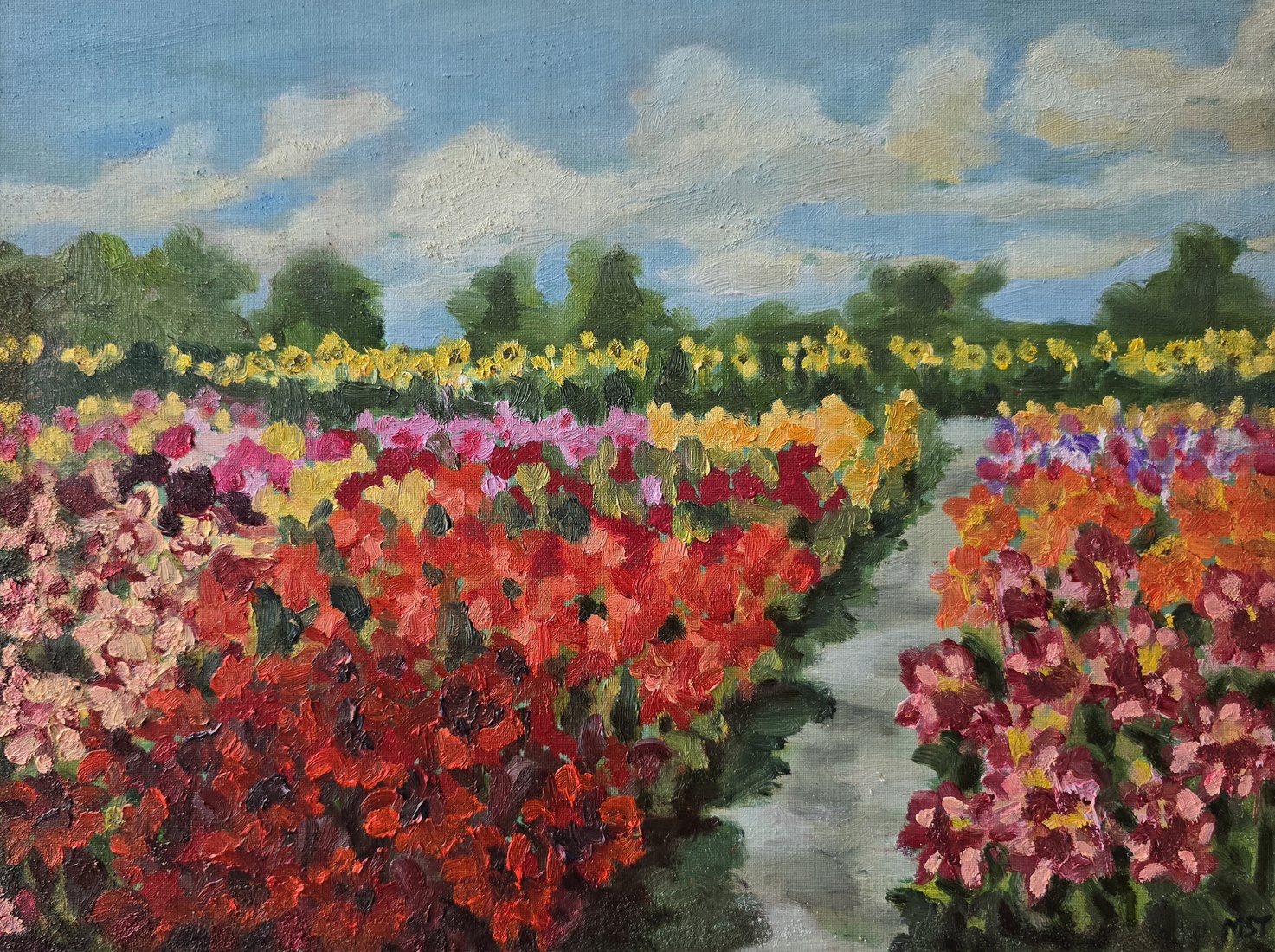 Dahlia show tuin